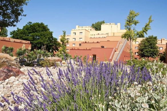 naar-disney-santa-fe-met-kinderen