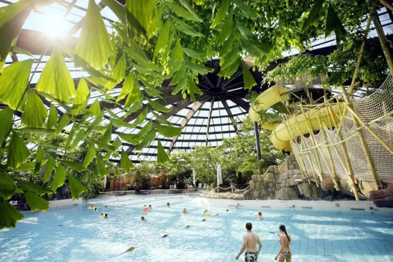 center-parcs-de-huttenheugte-zwembad