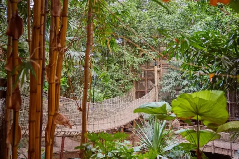 center-parcs-heijderbos-jungle-dome