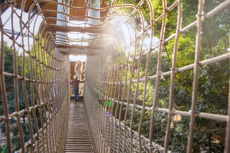 discovery-bay-center-parcs-vossemeren