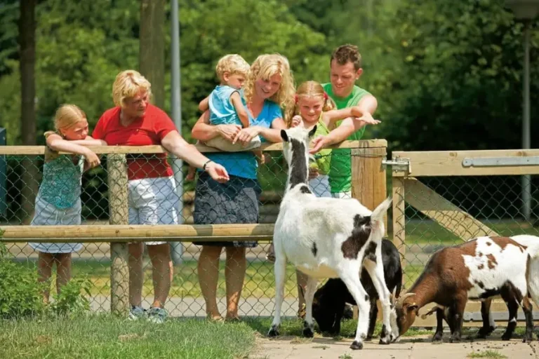 drenthe-landal-aelderholt