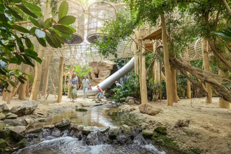 jungle-dome-center-parcs-heijderbos