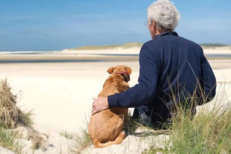 kindvriendelijk-vakantiepark-op-texel-landal-sluftervallei