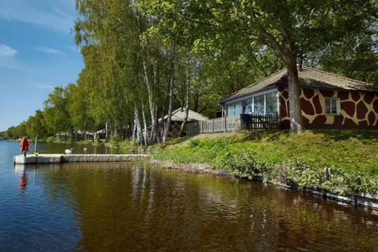 lake-resort-beekse-bergen-met-kinderen