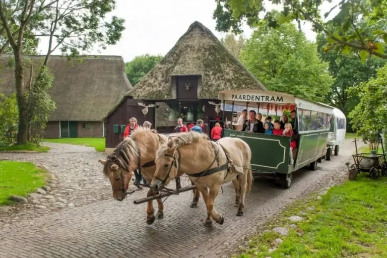 landal-in-drenthe-landal-aelderholt