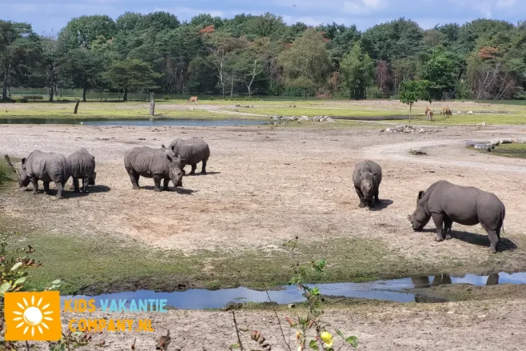 slapen-bij-safaripark-beekse-bergen