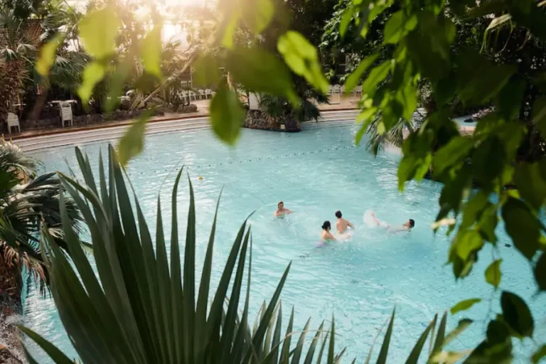 subtropisch-zwembad-center-parcs-de-kempervennen