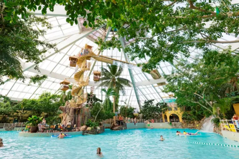 zwembad-center-parcs-de-vossemeren