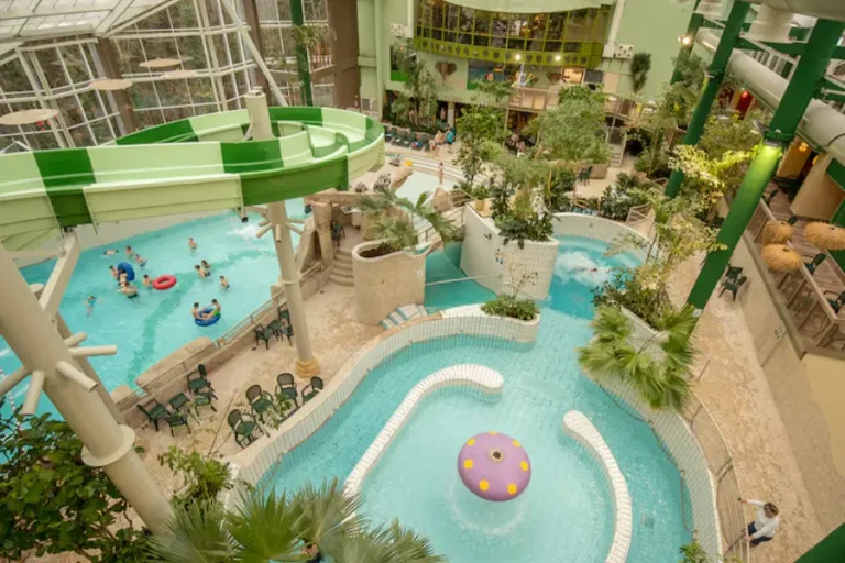 zwembad-center-parcs-les-ardennes