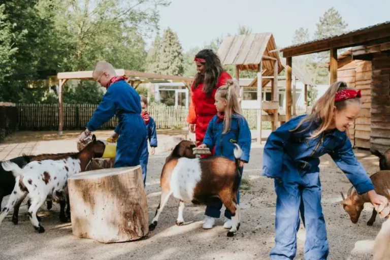 kindvriendelijke-camping-brabant-dierenbos